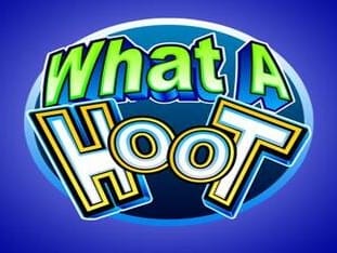 What A Hoot icon